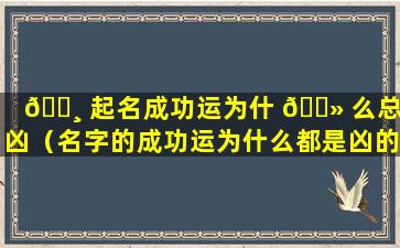 🌸 起名成功运为什 🌻 么总是凶（名字的成功运为什么都是凶的）